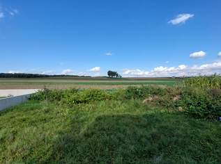 Doppelhaushälfte belagsfertig, 398000 €, Immobilien-Häuser in 7522 Gemeinde Strem Doppelhaushälfte belagsfertig, 398000 €, Immobilien-Häuser in 7522 Gemeinde Strem