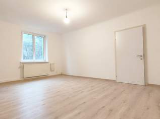! NETTES, GEPFLEGTES 2-ZIMMER-MIETAPARTMENT IN S-BAHN- UND KLINIK-NORD-NÄHE !, 724.65 €, Immobilien-Wohnungen in 1210 Floridsdorf
