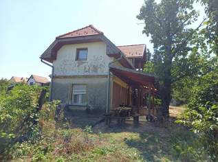Ferienhaus in Ungarn Ferienhaus in Ungarn