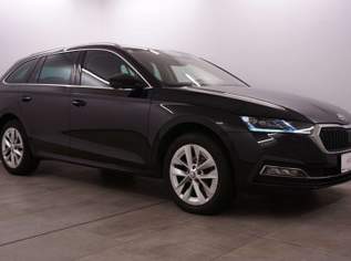 Octavia First Edition // Abstandstemp. // Ambientebel. //, 23990 €, Auto & Fahrrad-Autos in 3361 Aschbach-Markt