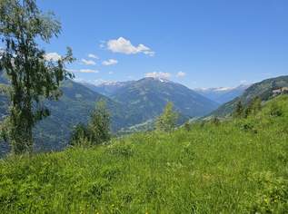 Seltenes Almgrundstück mit überwältigendem Panoramablick und Genehmigung für Zweitwohnsitz, 220000 €, Immobilien-Grund und Boden in 9814 Sachsenweg Seltenes Almgrundstück mit überwältigendem Panoramablick und Genehmigung für Zweitwohnsitz, 220000 €, Immobilien-Grund und Boden in 9814 Sachsenweg