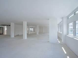 Erstbezug: Moderne Bürofläche in Hietzinger Bestlage, 18362.06 €, Immobilien-Gewerbeobjekte in 1130 Hietzing Erstbezug: Moderne Bürofläche in Hietzinger Bestlage, 18362.06 €, Immobilien-Gewerbeobjekte in 1130 Hietzing