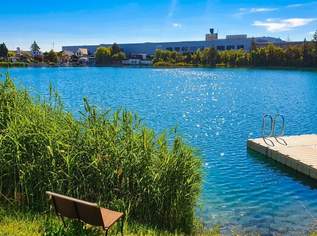 Zu heiß? Dann springen Sie einfach in Ihren eigenen See! Baugrundstück mit eigenem und direktem Seezugang nur 10 Minuten von Wien entfernt, 499000 €, Immobilien-Grund und Boden in 2100 Korneuburg Zu heiß? Dann springen Sie einfach in Ihren eigenen See! Baugrundstück mit eigenem und direktem Seezugang nur 10 Minuten von Wien entfernt, 499000 €, Immobilien-Grund und Boden in 2100 Korneuburg