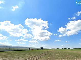45.358m² Land- und Forstwirtschaft (Option möglich), 9071600 €, Immobilien-Grund und Boden in 1220 Donaustadt 45.358m² Land- und Forstwirtschaft (Option möglich), 9071600 €, Immobilien-Grund und Boden in 1220 Donaustadt