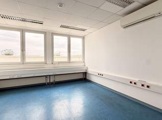 Single-Büro mit Gemeinschaftsflächen im CONCORDE BUSINESS PARK, 280.8 €, Immobilien-Gewerbeobjekte in 2320 Schwechat