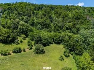 Großzügige Waldfläche nahe Thalersee, 63000 €, Immobilien-Grund und Boden in 8051 Großzügige Waldfläche nahe Thalersee, 63000 €, Immobilien-Grund und Boden in 8051