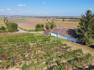 Provisionsfrei: Zwei Presshäuser inkl. Keller in absoluter Traumlage!, 24900 €, Immobilien-Häuser in 2061 Obritz Provisionsfrei: Zwei Presshäuser inkl. Keller in absoluter Traumlage!, 24900 €, Immobilien-Häuser in 2061 Obritz