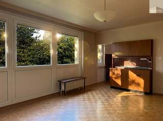 1 Zimmer Wohnung am Doblhofpark, 159500 €, Immobilien-Wohnungen in 2500 Gemeinde Baden 1 Zimmer Wohnung am Doblhofpark, 159500 €, Immobilien-Wohnungen in 2500 Gemeinde Baden
