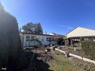 Traumhafter Bungalow mit zwei Wohneinheiten, 850000 €, Immobilien-Häuser in 2353 Gemeinde Guntramsdorf Traumhafter Bungalow mit zwei Wohneinheiten, 850000 €, Immobilien-Häuser in 2353 Gemeinde Guntramsdorf