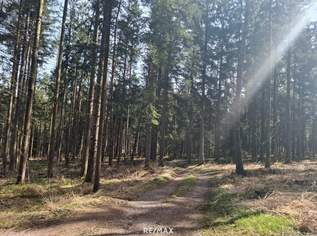 Wald, 118482 €, Immobilien-Gewerbeobjekte in 5231 Schalchen