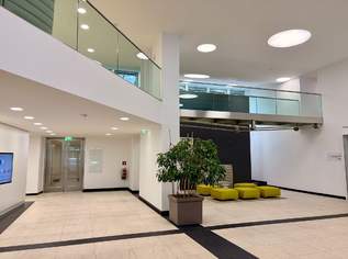 Top-Adresse 1010 Wien: Repräsentatives Arbeiten in der Operngasse, 8783.94 €, Immobilien-Gewerbeobjekte in 1040 Wieden Top-Adresse 1010 Wien: Repräsentatives Arbeiten in der Operngasse, 8783.94 €, Immobilien-Gewerbeobjekte in 1040 Wieden