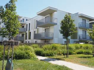 Neubauwohnung in ruhiger Südwestlage und großem Balkon, 810 €, Immobilien-Wohnungen in 1210 Floridsdorf Neubauwohnung in ruhiger Südwestlage und großem Balkon, 810 €, Immobilien-Wohnungen in 1210 Floridsdorf