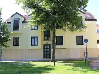 RARITÄT: PERFEKTES, MODERNES ARCHITEKTENHAUS AN DER DONAULÄNDE ALS REPRÄSENTATIVER WOHNSITZ AUF HÖCHSTEM NIVEAU MIT DONAUBLICK, 1990000 €, Immobilien-Häuser in 3430 Gemeinde Tulln an der Donau