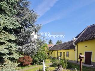 Haus, Stadl, Weinkeller und VIEL, VIEL Platz - Mannersdorf/Leithagebirge, 0 €, Immobilien-Häuser in 2452 Gemeinde Mannersdorf am Leithagebirge