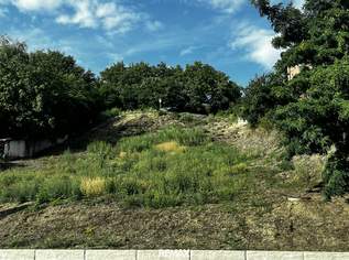 Bauland in Grieskirchen – 1.312 m² ohne Bauzwang, 129000 €, Immobilien-Grund und Boden in 4710 Grieskirchen Bauland in Grieskirchen – 1.312 m² ohne Bauzwang, 129000 €, Immobilien-Grund und Boden in 4710 Grieskirchen