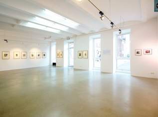 Loft in Hoflage der Brotfabrik Wien!, 14 €, Immobilien-Gewerbeobjekte in 1100 Favoriten