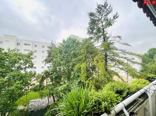 Wohnkomfort in der obersten Etage – 2-Zimmer-Wohnung mit geschützter Loggia in Linz/Oed! ACHTUNG Wohnung wird soeben saniert! Bezug 01. September 2026!, 806.86 €, Immobilien-Wohnungen in Oberösterreich
