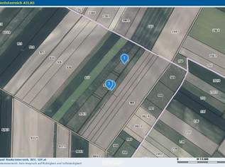 Attraktives Agrargrundstück im Marchfeld, 680000 €, Immobilien-Grund und Boden in 2304 Gemeinde Orth an der Donau