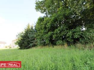 Vielseitiges Grundstück in wachstumsstarker Region, 210000 €, Immobilien-Grund und Boden in 4230 Pregarten