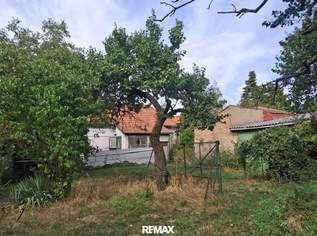,,Kleines Haus und großer Obstgarten in Hornstein!", 392000 €, Immobilien-Häuser in 7053 Hornstein