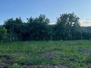 Ca.932 m² großer sonniger Baugrund in Großweikersdorf, 0 €, Immobilien-Grund und Boden in 3701 Großweikersdorf