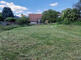 Ideales Baugrundstück mit Stadel, 99000 €, Immobilien-Grund und Boden in 2272 Gemeinde Ringelsdorf-Niederabsdorf