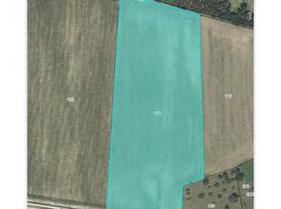 ACKER - ZUM VERKAUF, 440000 €, Immobilien-Grund und Boden in 3386 Korning