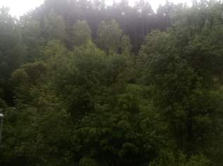 1 Zimmer mitten in der Natur, autark, ca 1 Stunde südlich von Wien 1 Zimmer mitten in der Natur, autark, ca 1 Stunde südlich von Wien