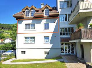 Sonnige 3-Zimmer-Wohnung mit Carport und Grünblick, 790 €, Immobilien-Wohnungen in 2840 Grimmenstein