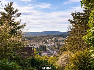 Traumhafte Naturresidenz am Kordon – Großzügiges Haus mit Biotop, Aussicht & Waldrandlage, 1199000 €, Immobilien-Häuser in 1140 Penzing Traumhafte Naturresidenz am Kordon – Großzügiges Haus mit Biotop, Aussicht & Waldrandlage, 1199000 €, Immobilien-Häuser in 1140 Penzing