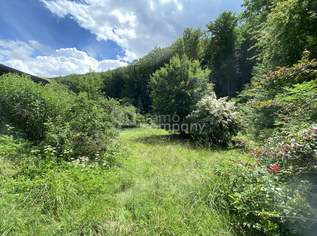 Sonniges Grundstück mit Teilungsoption und Altbestand in Weidlingbach, 800000 €, Immobilien-Grund und Boden in 3400 Gemeinde Klosterneuburg Sonniges Grundstück mit Teilungsoption und Altbestand in Weidlingbach, 800000 €, Immobilien-Grund und Boden in 3400 Gemeinde Klosterneuburg