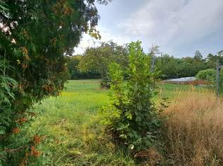 Aufgeschlossen und kein Bauzwang-Ein guter Grund weiterzulesen...., 229000 €, Immobilien-Grund und Boden in 3105 Unterradlberg
