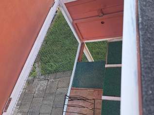 Toller sanierter Kaninchenstall abzugeben