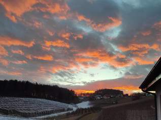 Neubau Bungalow mit wunderschönem Aussicht, 619000 €, Immobilien-Häuser in 8302 Nestelbach bei Graz