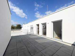 EDI N° 7 - Dachgeschosswohnung mit riesiger Terrasse, 339000 €, Immobilien-Wohnungen in 1210 Floridsdorf