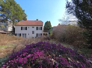 Eine Villa zum Träumen mit unendlichen Möglichkeiten, 380000 €, Immobilien-Häuser in 2130 Mistelbach