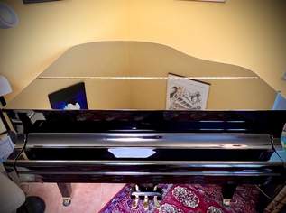 Yamaha Flügel GB 1 Yamaha Flügel GB 1