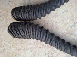 Hörner für Perchten oder Deko, 60 €, Marktplatz-Spiele, Bastelmaterial & Modellbau in 5280 Neukirchen an der Enknach Hörner für Perchten oder Deko, 60 €, Marktplatz-Spiele, Bastelmaterial & Modellbau in 5280 Neukirchen an der Enknach