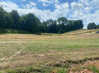 Mehrere Baugründe in Ruhelage in Haiding 698 m2 und 1343 m2 und 896 m2, 0 €, Immobilien-Grund und Boden in 4631 Krenglbach Mehrere Baugründe in Ruhelage in Haiding 698 m2 und 1343 m2 und 896 m2, 0 €, Immobilien-Grund und Boden in 4631 Krenglbach