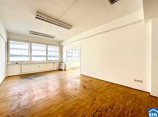 Laurenzi am Fluss- Wohnen und Arbeiten mit Weitblick!, 999000 €, Immobilien-Wohnungen in 1010 Innere Stadt