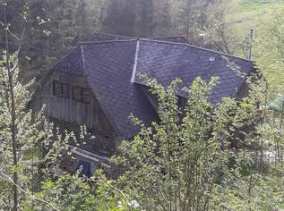 Almhaus/Ferienhaus in Alleinlage Almhaus/Ferienhaus in Alleinlage