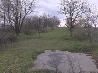 Grundstück zur Miete in Mistelbach - Gartenparadies mit Altbaumbestand, 0 €, Immobilien-Grund und Boden in 2130 Mistelbach