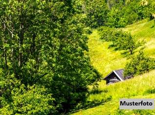 Land- und Forstwirtschaftl. Anwesen mit Hofstelle, 1361000 €, Immobilien-Grund und Boden in 9375 Hüttenberg