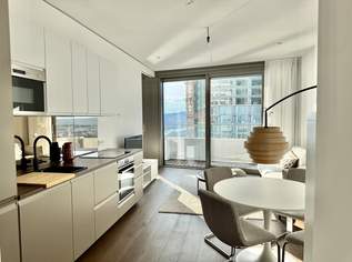 42. Etage: Möbliert - Gym, Pool und Wellnes: Den schönsten Ausblick mit Sonneuntergang auf Kahlenberg, 2150 €, Immobilien-Wohnungen in 1220 Donaustadt