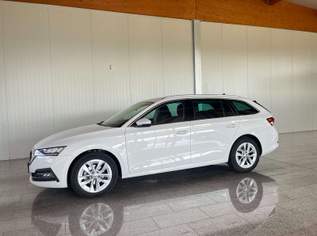 Octavia Style TDI, 22890 €, Auto & Fahrrad-Autos in 8443 Gleinstätten