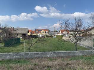 Ebenerdiges Grundstück kommt in Bockfließ zum Verkauf, 265000 €, Immobilien-Grund und Boden in 2213 Bockfließ