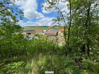 Historisches Anwesen mit unberührtem Waldparadies in Hanglage!, 295000 €, Immobilien-Häuser in 2114 Hornsburg