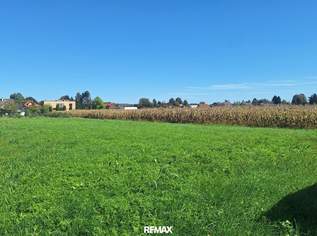 "Traumhafter komplett ebener Baugrund in Straß in der Südsteiermark", 118000 €, Immobilien-Grund und Boden in 8472 Gersdorf an der Mur