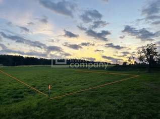 Raum für Ihren Wohntraum: 767 m² Baugrund in ruhiger Lage im Waldviertel!, 25311 €, Immobilien-Grund und Boden in 3522 Pallweis Raum für Ihren Wohntraum: 767 m² Baugrund in ruhiger Lage im Waldviertel!, 25311 €, Immobilien-Grund und Boden in 3522 Pallweis