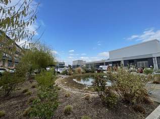 108 m² große Kellerflächen im Gewerbepark Traiskirchen zur Miete!, 529.2 €, Immobilien-Gewerbeobjekte in 2514 Katastralgemeinde Traiskirchen